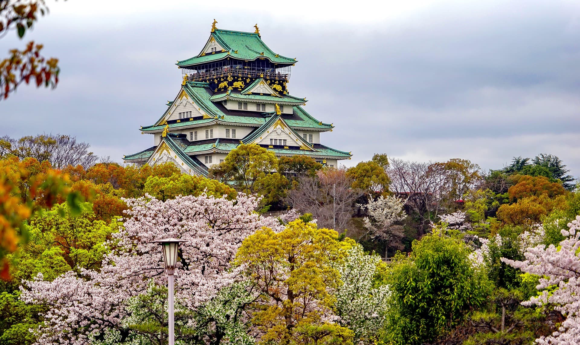 Japonya turu